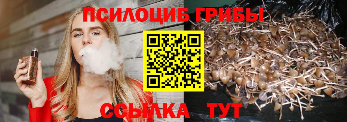 Галлюциногенные грибы MAGIC MUSHROOMS Большой Камень