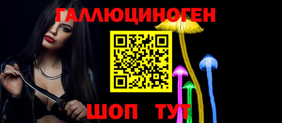 Псилоцибиновые грибы прущие грибы  Вход с VPN  Большой Камень 
